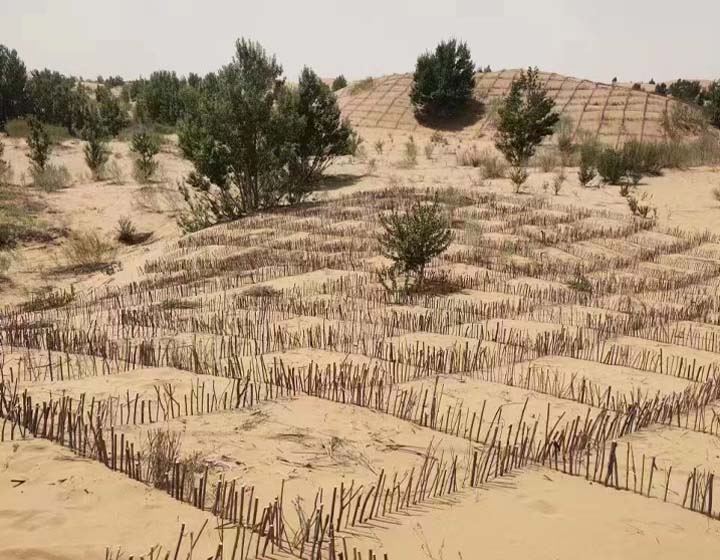 正在建设工程