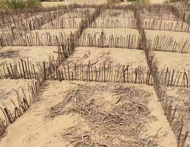 正在建设工程